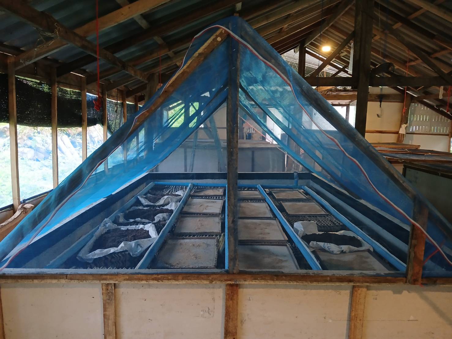 Vertical Insect Farm Bugs – a boon for the health, the environment and the economy