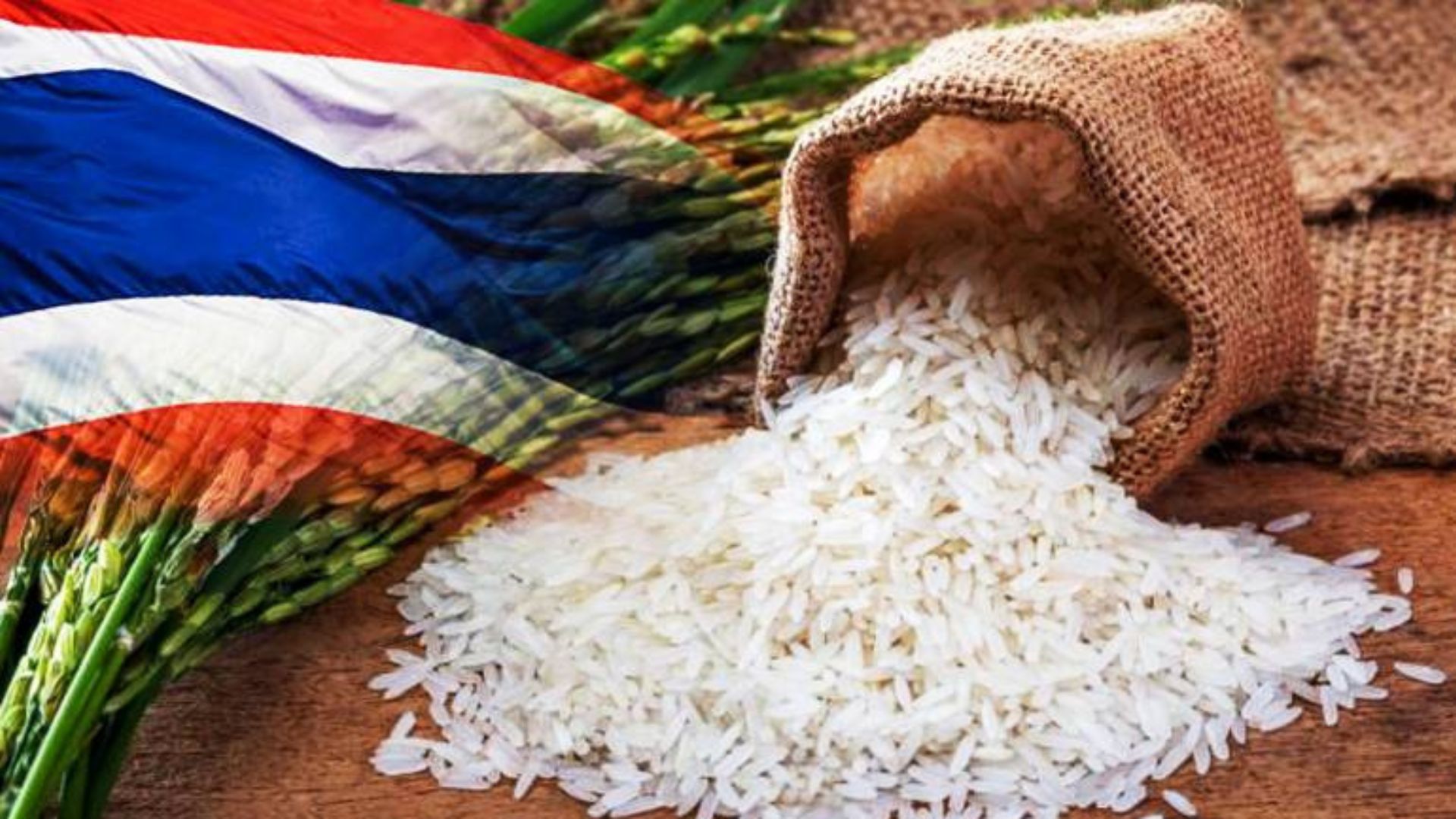 Thai rice exporters fear Thailand may lose US market to Vietnam