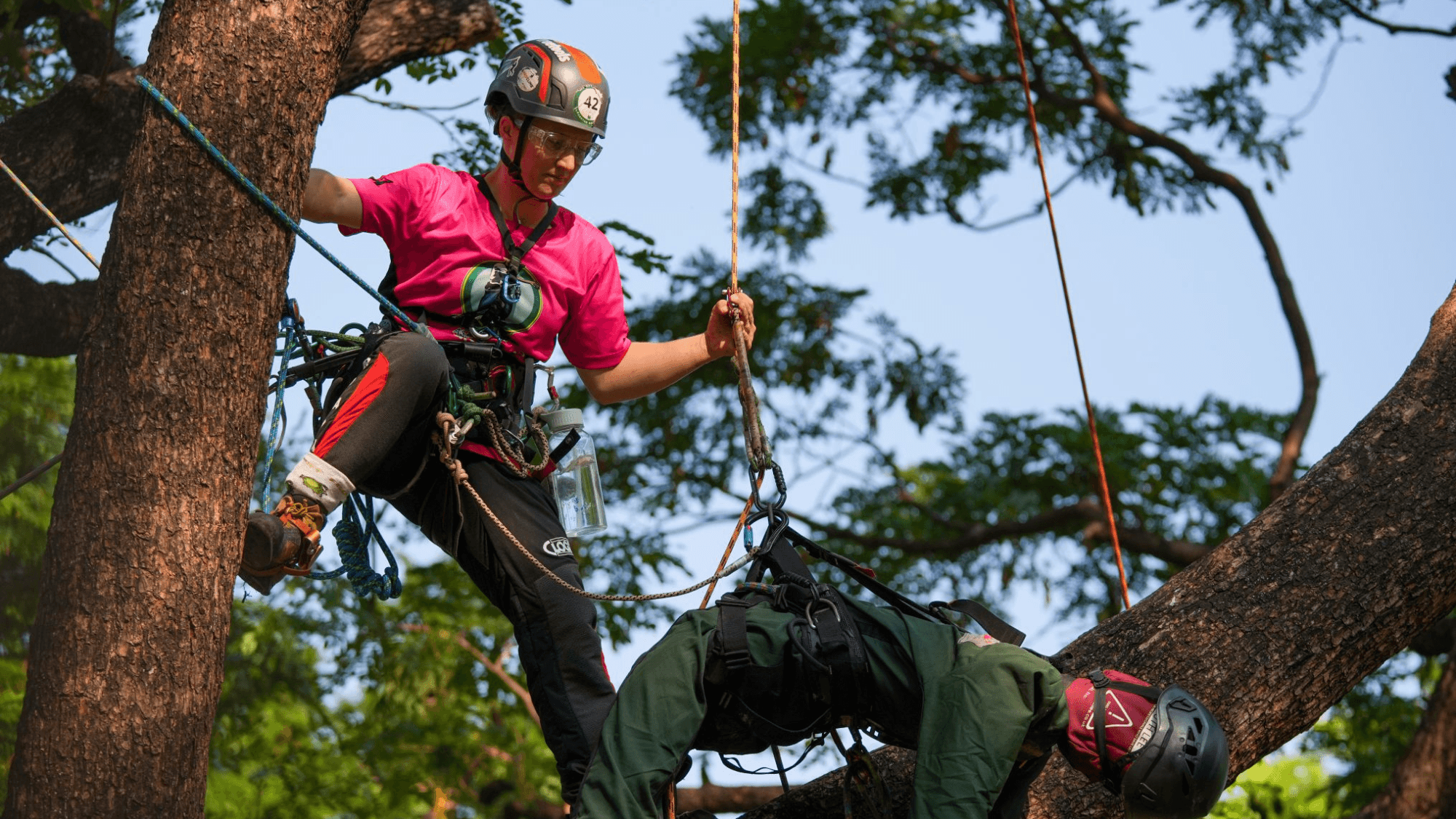 Much more than just climbing: Thai arborists show off their skills
